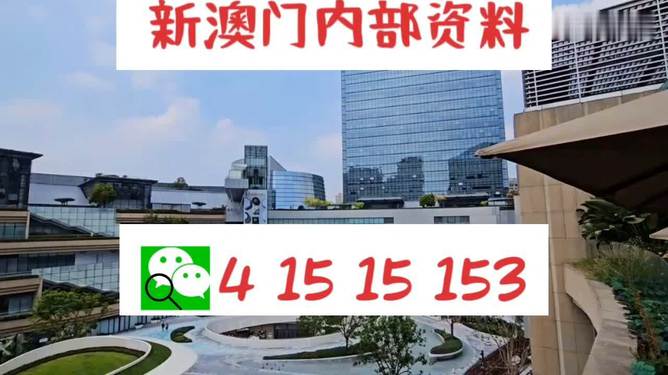 新澳門單雙王，游戲魅力與策略探討，澳門單雙王游戲魅力與策略解析