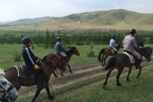 澳門特馬今晚開獎，探索彩票背后的故事與期待，澳門特馬今晚開獎，彩票背后的故事與期待揭秘