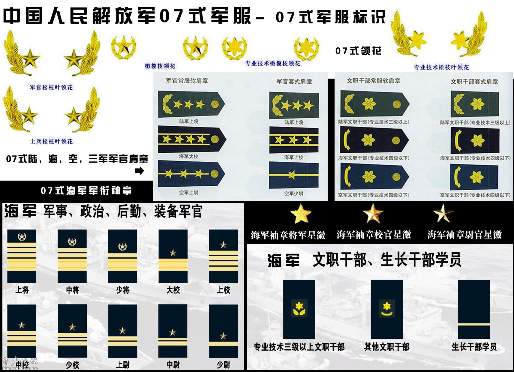 中國人民解放軍軍銜制度，歷史沿革與現(xiàn)狀，中國人民解放軍軍銜制度，歷史沿革與現(xiàn)狀概覽