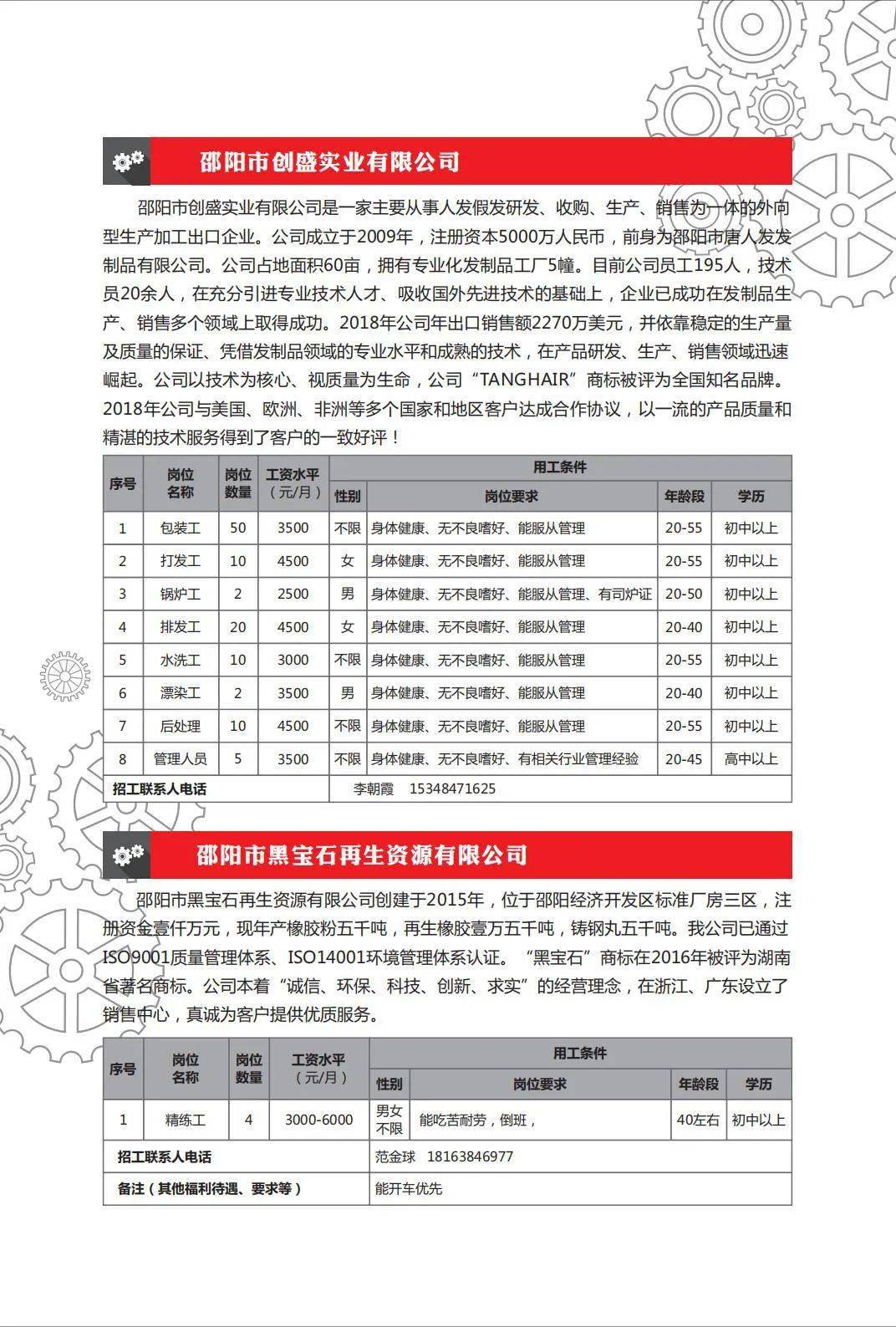 邵陽市招聘網(wǎng)最新招聘動(dòng)態(tài)深度解析，邵陽市招聘網(wǎng)最新動(dòng)態(tài)深度解析