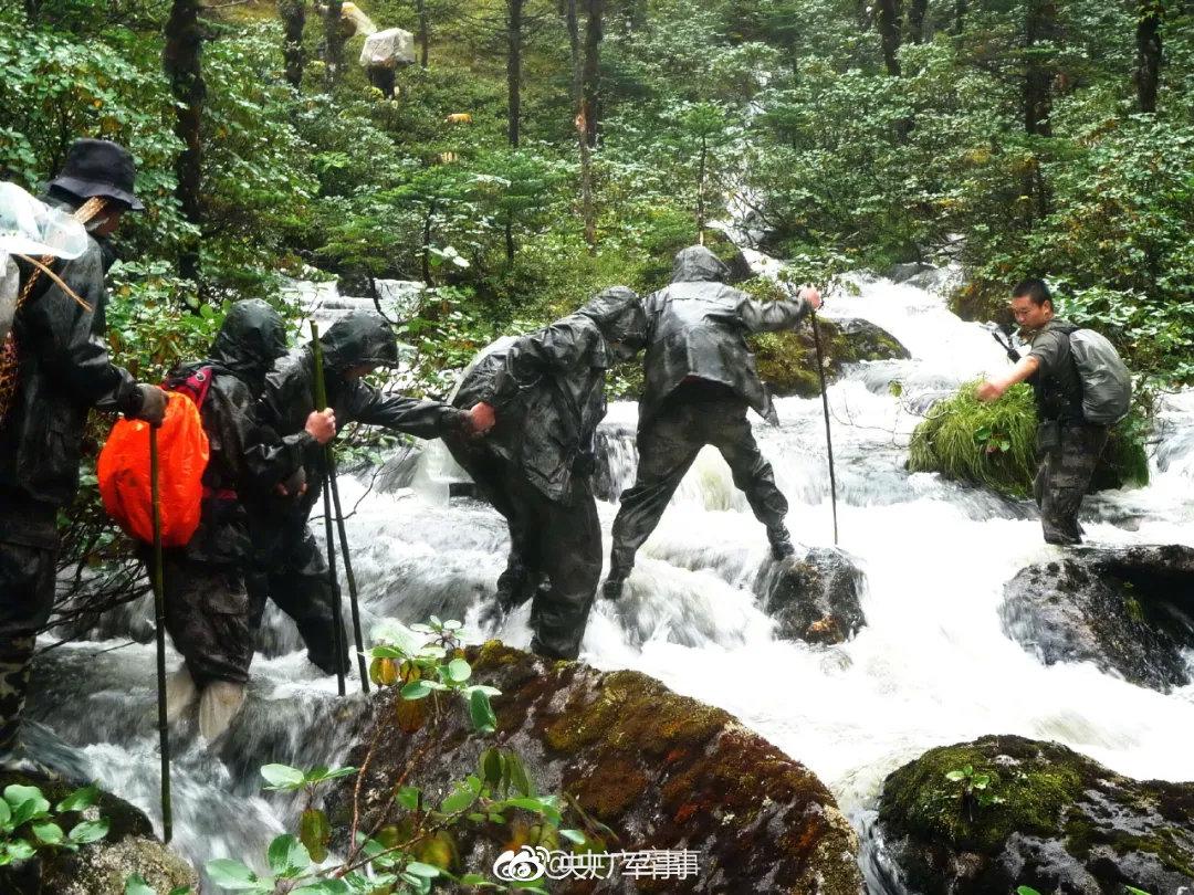 央廣軍事，權(quán)威軍事媒體的級(jí)別與影響力，央廣軍事，權(quán)威軍事媒體的級(jí)別與影響力概述