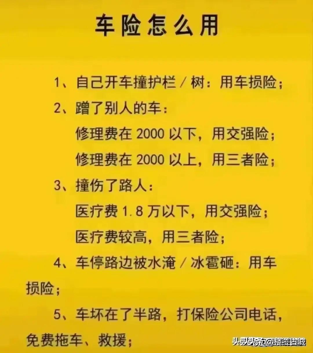 參考消息數(shù)字報(bào)，重塑新聞行業(yè)的數(shù)字化先鋒，重塑新聞行業(yè)先鋒，數(shù)字化引領(lǐng)下的參考消息數(shù)字報(bào)時(shí)代