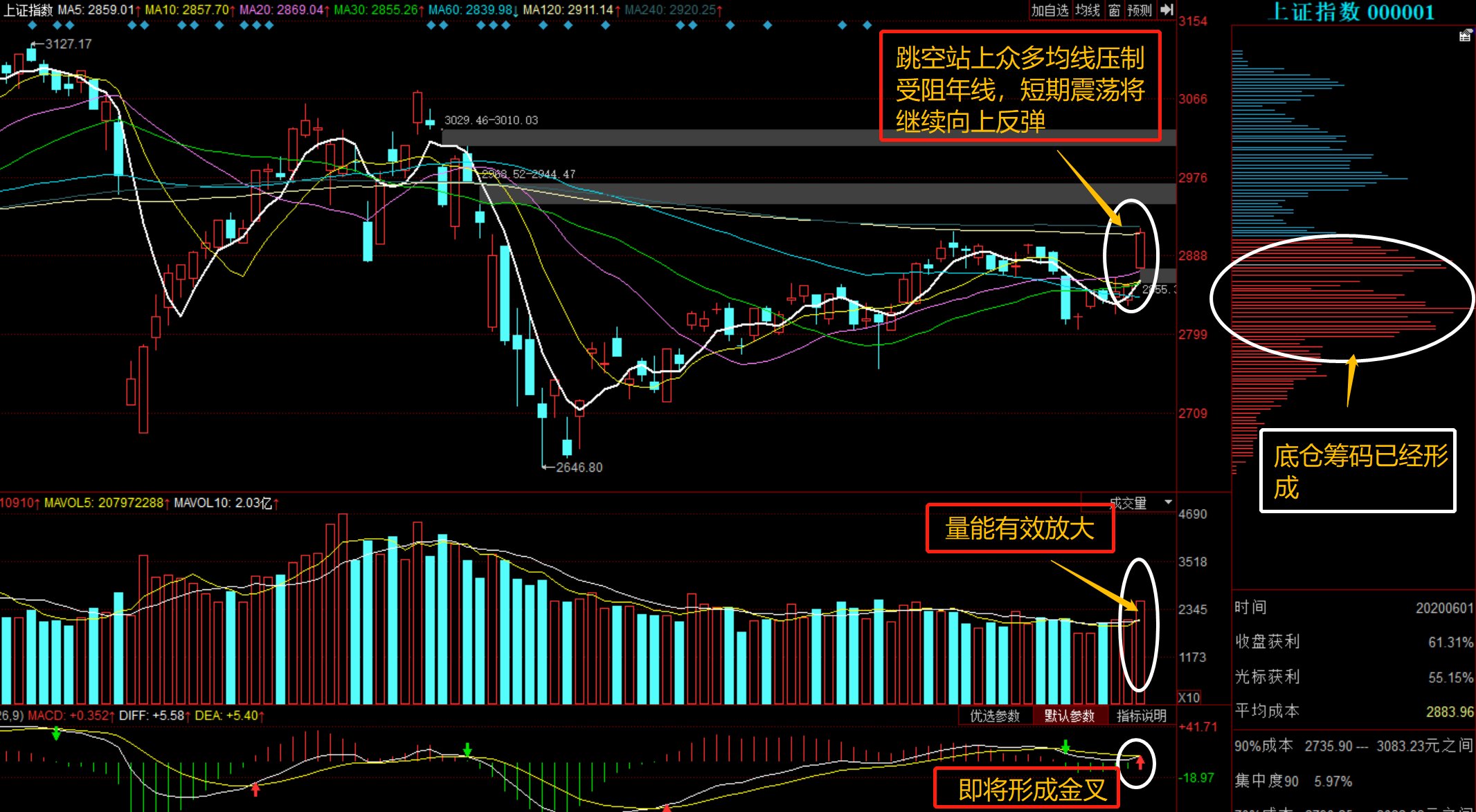 深度解析，300013股票行情及市場走勢，深度解析，股票行情與市場走勢分析——以300013為例