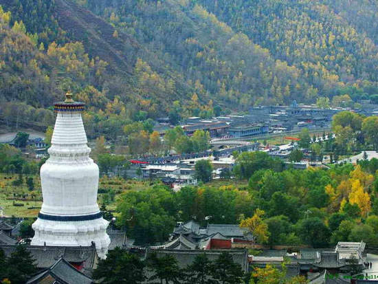 五臺山景區(qū)，歷史與自然共融的佛教圣地，五臺山景區(qū)，歷史與自然共融的佛教圣地之旅