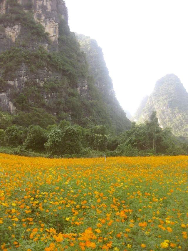 遇龍河漂流，一次難忘的水上冒險(xiǎn)之旅，遇龍河漂流，難忘的水上冒險(xiǎn)之旅體驗(yàn)