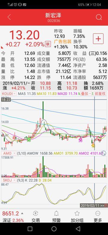 新宏澤股票，市場趨勢與投資策略分析，新宏澤股票，市場趨勢解讀與投資策略探討