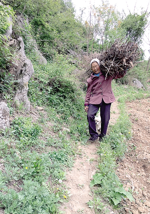 農(nóng)村中老年人征婚，尋找幸福晚年的新起點，農(nóng)村中老年征婚，晚年幸福的起點之路