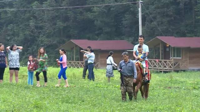 公益相親平臺，搭建愛的橋梁，助力幸福人生，公益相親平臺，搭建愛的橋梁，共創(chuàng)幸福人生之旅