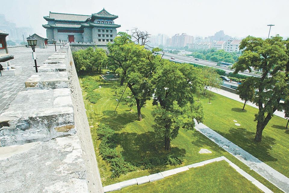 北京哪個(gè)公園最值得去，探尋城市綠肺的奧秘，探尋北京城市綠肺，哪個(gè)公園最值得一游？