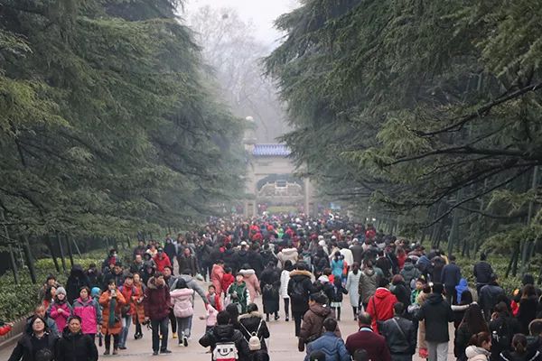 南京當?shù)芈糜螆F兩日游，深度探索古都文化，南京深度兩日游，古都文化探索之旅