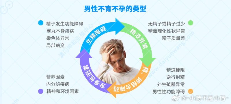 男性不育的原因及影響因素分析，男性不育的原因與影響因素深度解析