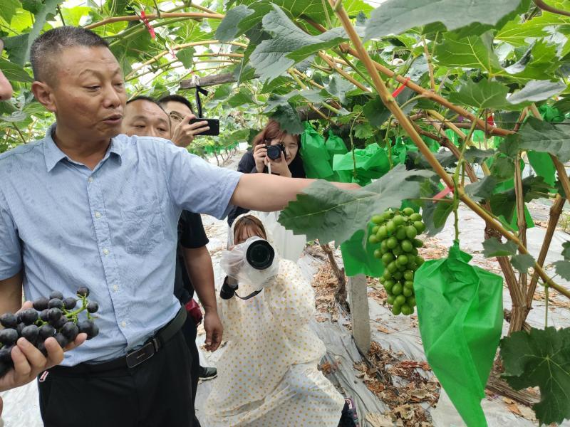 上海正規(guī)的相親網(wǎng)，連接真摯心靈的橋梁，上海正規(guī)相親網(wǎng)，真摯心靈的連接橋梁