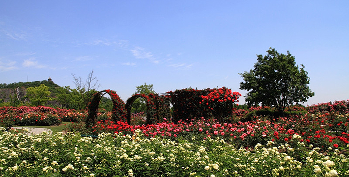 上海辰山植物園門票價(jià)格詳解，上海辰山植物園門票價(jià)格全解析