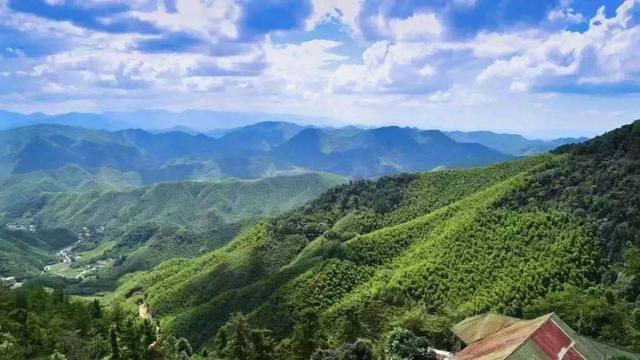 莫干山風(fēng)景名勝區(qū)，自然與人文的絕美交融，莫干山風(fēng)景名勝區(qū)，自然與人文的絕美交融之旅