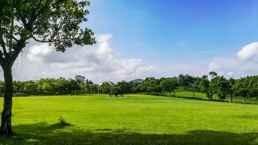 深圳免費景點，探索城市之美，深圳免費景點探秘，感受城市之美