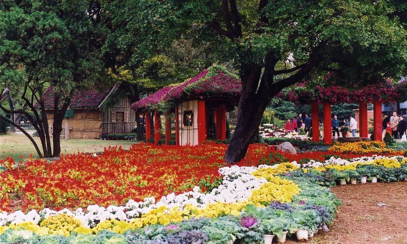 中山公園，歷史與自然的美好交織，中山公園，歷史與自然之美的交融勝地