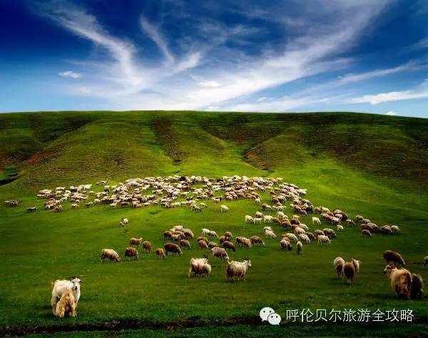 呼倫貝爾草原自由行旅游攻略，呼倫貝爾草原自由行全攻略，暢游草原之旅